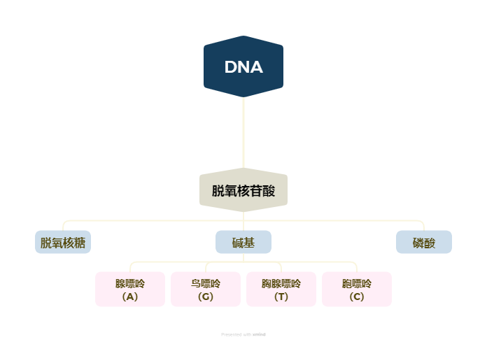 优准检测 | 带你走进只属于[D N A]的世界